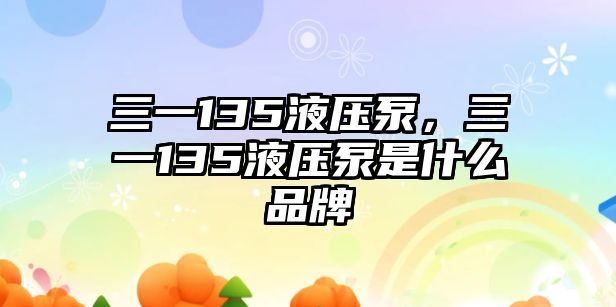 三一135液壓泵，三一135液壓泵是什么品牌