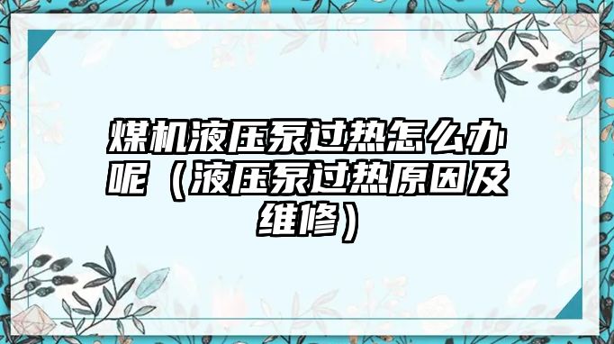 煤機液壓泵過熱怎么辦呢（液壓泵過熱原因及維修）