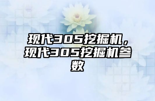 現(xiàn)代305挖掘機，現(xiàn)代305挖掘機參數(shù)