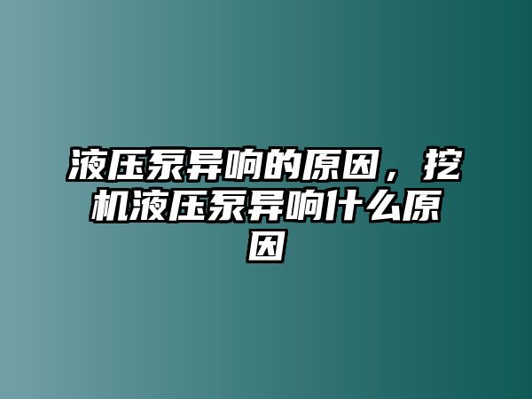 液壓泵異響的原因，挖機(jī)液壓泵異響什么原因