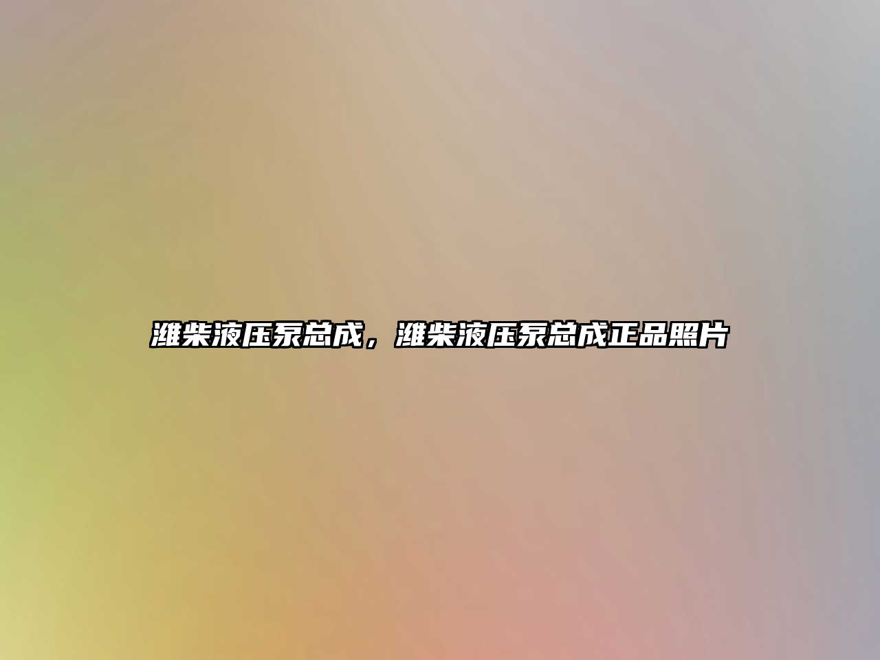 濰柴液壓泵總成，濰柴液壓泵總成正品照片