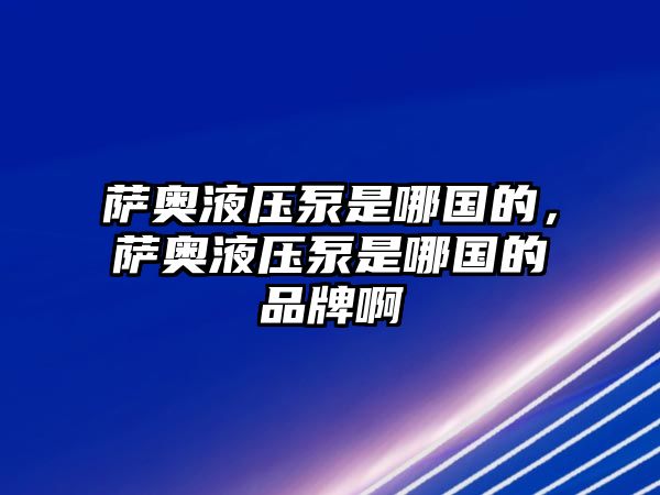 薩奧液壓泵是哪國的，薩奧液壓泵是哪國的品牌啊