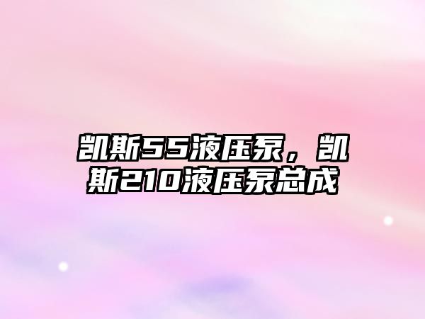 凱斯55液壓泵，凱斯210液壓泵總成