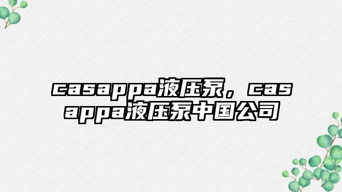 casappa液壓泵，casappa液壓泵中國(guó)公司