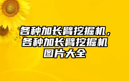 各種加長(zhǎng)臂挖掘機(jī)，各種加長(zhǎng)臂挖掘機(jī)圖片大全