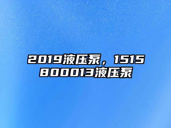 2019液壓泵，1515800013液壓泵