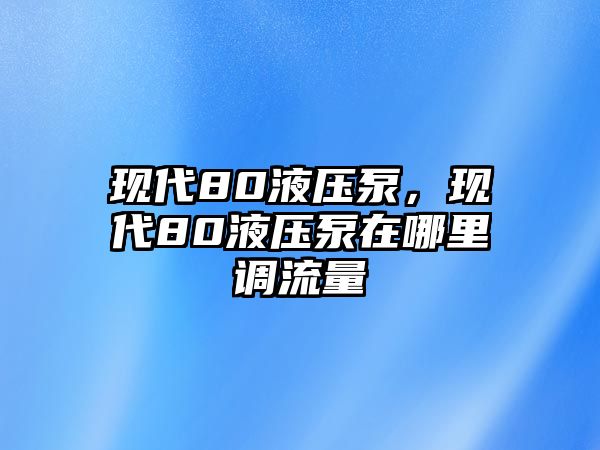 現代80液壓泵，現代80液壓泵在哪里調流量