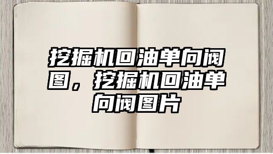 挖掘機回油單向閥圖，挖掘機回油單向閥圖片