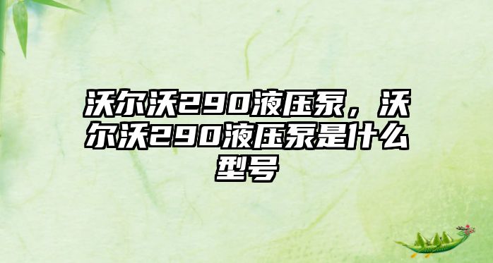 沃爾沃290液壓泵，沃爾沃290液壓泵是什么型號