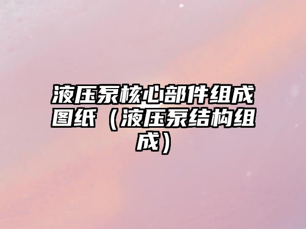 液壓泵核心部件組成圖紙（液壓泵結(jié)構(gòu)組成）