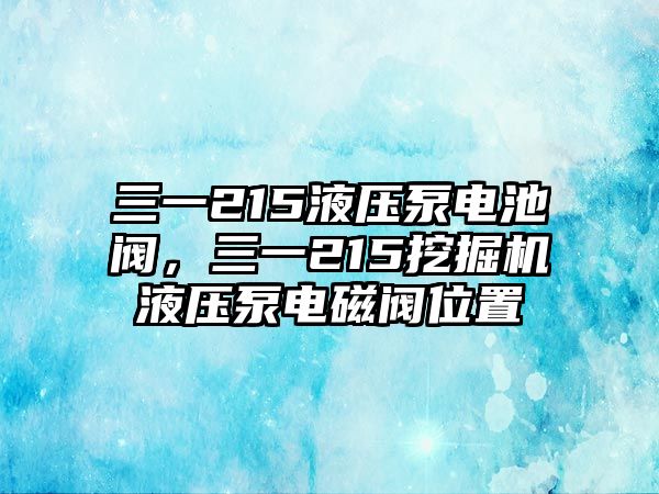 三一215液壓泵電池閥，三一215挖掘機(jī)液壓泵電磁閥位置