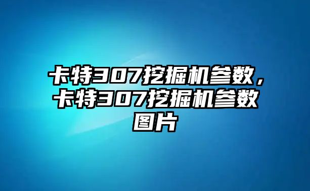 卡特307挖掘機參數(shù)，卡特307挖掘機參數(shù)圖片