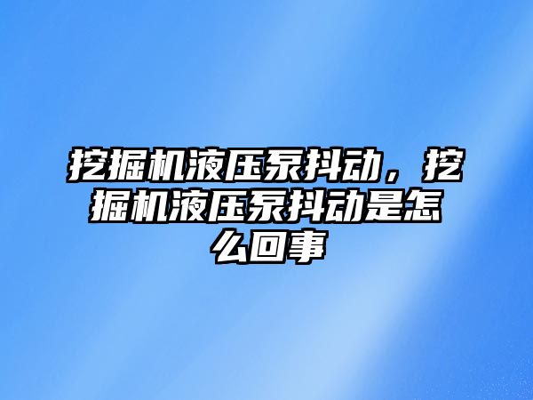 挖掘機液壓泵抖動，挖掘機液壓泵抖動是怎么回事