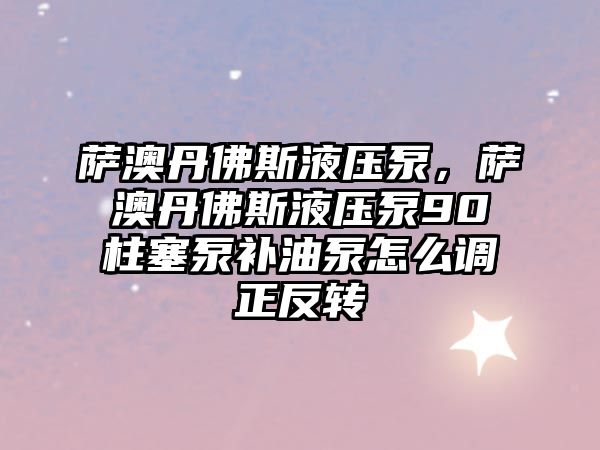 薩澳丹佛斯液壓泵，薩澳丹佛斯液壓泵90柱塞泵補(bǔ)油泵怎么調(diào)正反轉(zhuǎn)