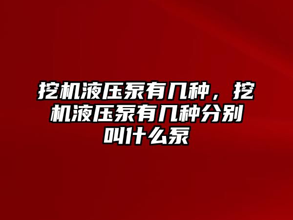 挖機液壓泵有幾種，挖機液壓泵有幾種分別叫什么泵