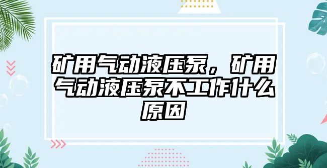 礦用氣動(dòng)液壓泵，礦用氣動(dòng)液壓泵不工作什么原因