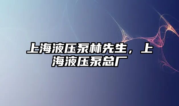 上海液壓泵林先生，上海液壓泵總廠