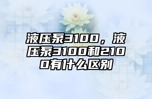 液壓泵3100，液壓泵3100和2100有什么區(qū)別