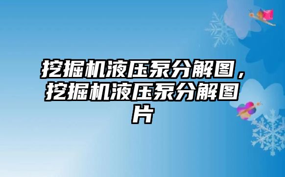 挖掘機液壓泵分解圖，挖掘機液壓泵分解圖片