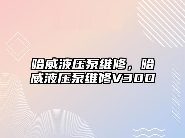 哈威液壓泵維修，哈威液壓泵維修V30D