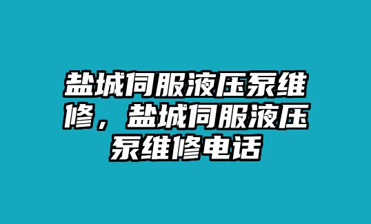 鹽城伺服液壓泵維修，鹽城伺服液壓泵維修電話