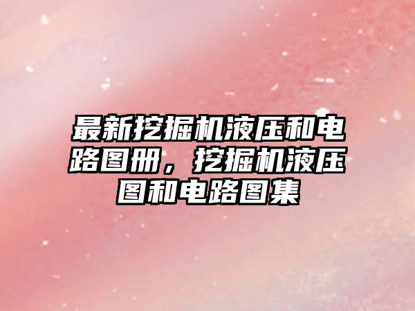 最新挖掘機液壓和電路圖冊，挖掘機液壓圖和電路圖集