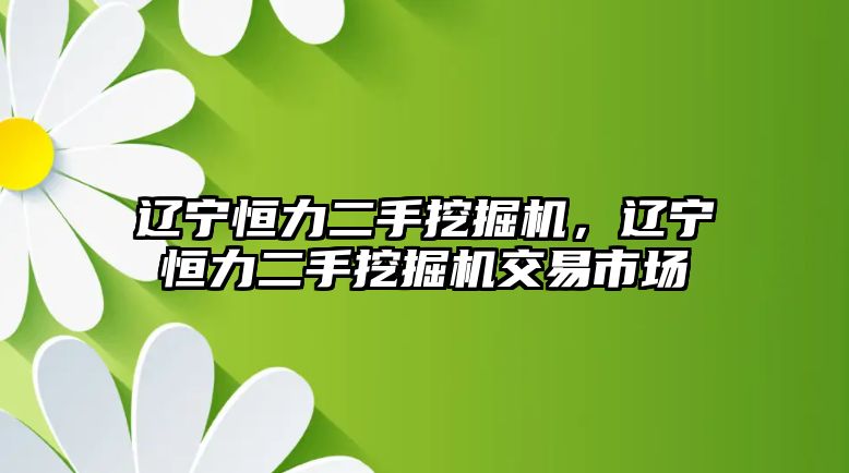 遼寧恒力二手挖掘機，遼寧恒力二手挖掘機交易市場