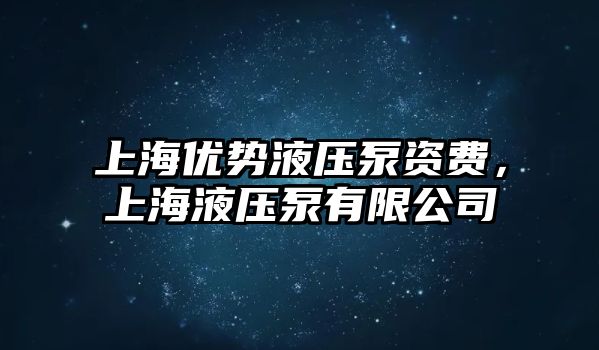 上海優(yōu)勢液壓泵資費，上海液壓泵有限公司