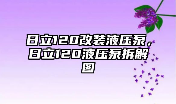 日立120改裝液壓泵，日立120液壓泵拆解圖