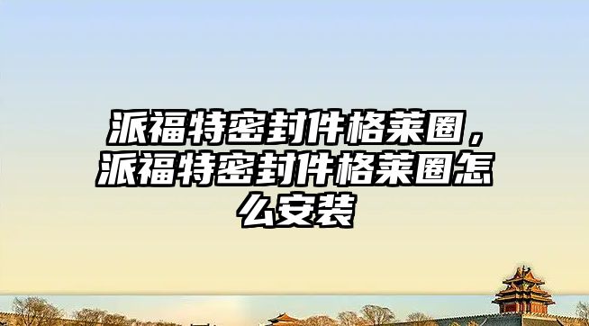 派福特密封件格萊圈，派福特密封件格萊圈怎么安裝