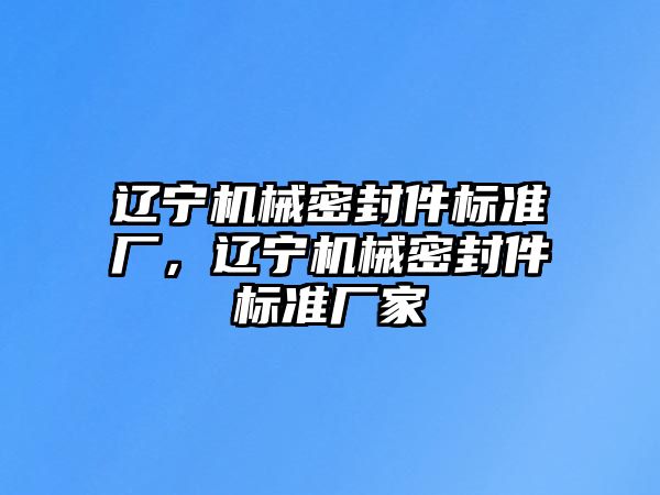 遼寧機械密封件標準廠，遼寧機械密封件標準廠家