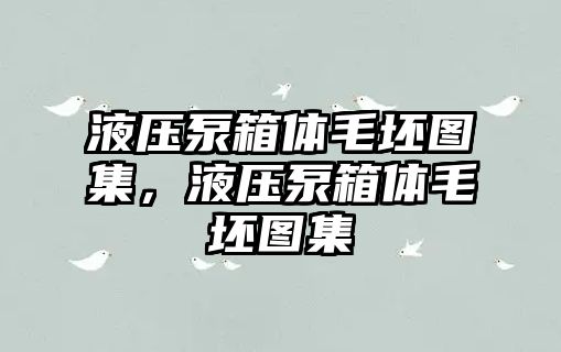 液壓泵箱體毛坯圖集，液壓泵箱體毛坯圖集