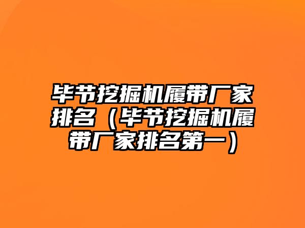 畢節(jié)挖掘機履帶廠家排名（畢節(jié)挖掘機履帶廠家排名第一）