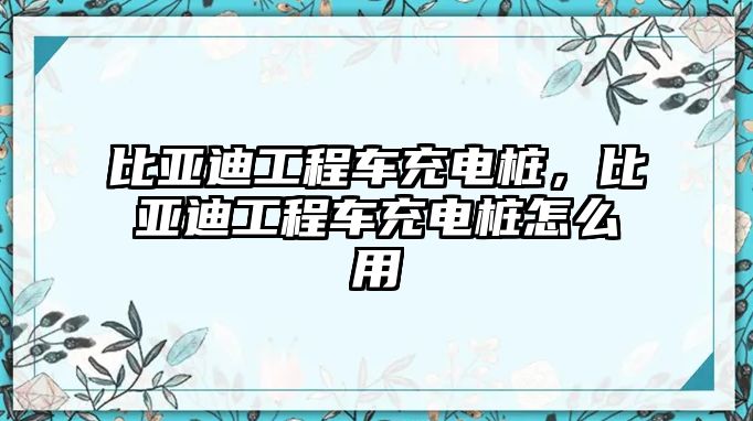 比亞迪工程車充電樁，比亞迪工程車充電樁怎么用