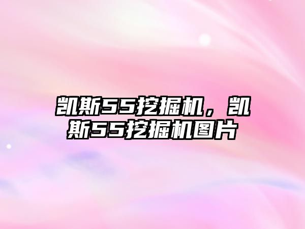 凱斯55挖掘機(jī)，凱斯55挖掘機(jī)圖片