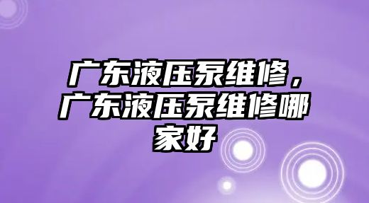 廣東液壓泵維修，廣東液壓泵維修哪家好