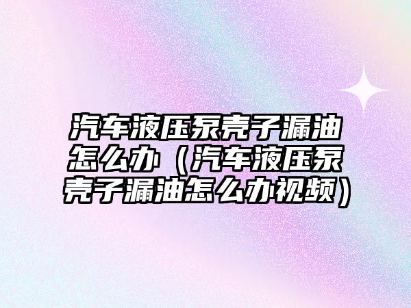 汽車液壓泵殼子漏油怎么辦（汽車液壓泵殼子漏油怎么辦視頻）