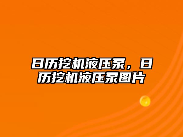 日歷挖機液壓泵，日歷挖機液壓泵圖片