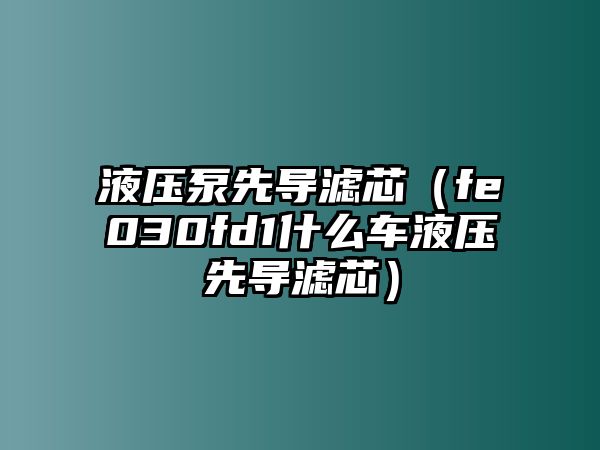 液壓泵先導(dǎo)濾芯（fe030fd1什么車液壓先導(dǎo)濾芯）