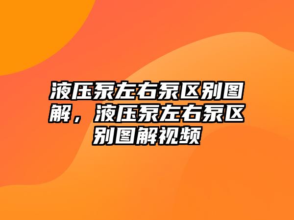 液壓泵左右泵區(qū)別圖解，液壓泵左右泵區(qū)別圖解視頻