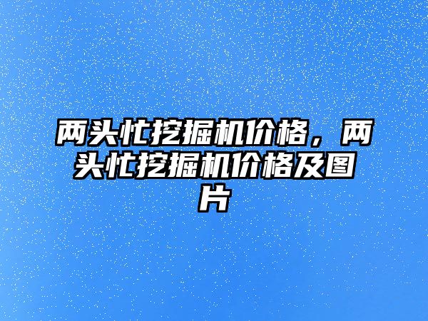 兩頭忙挖掘機價格，兩頭忙挖掘機價格及圖片