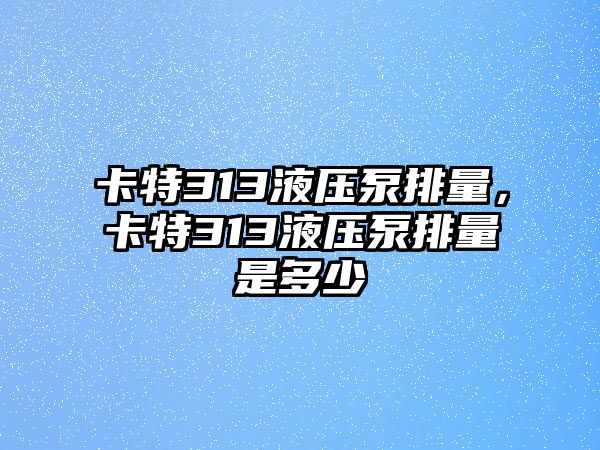 卡特313液壓泵排量，卡特313液壓泵排量是多少