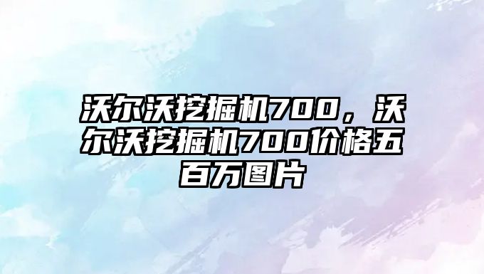 沃爾沃挖掘機700，沃爾沃挖掘機700價格五百萬圖片