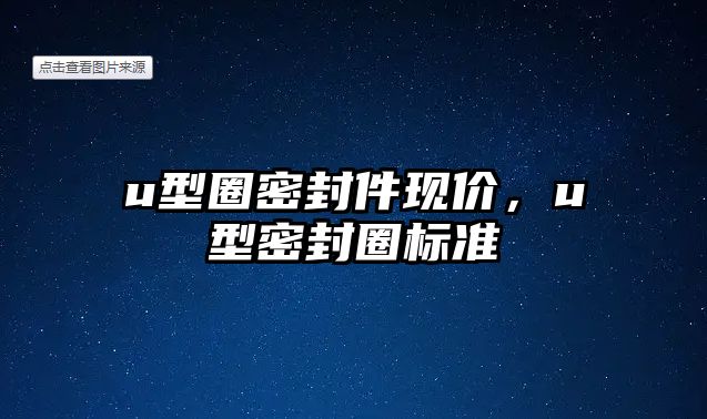 u型圈密封件現(xiàn)價，u型密封圈標準