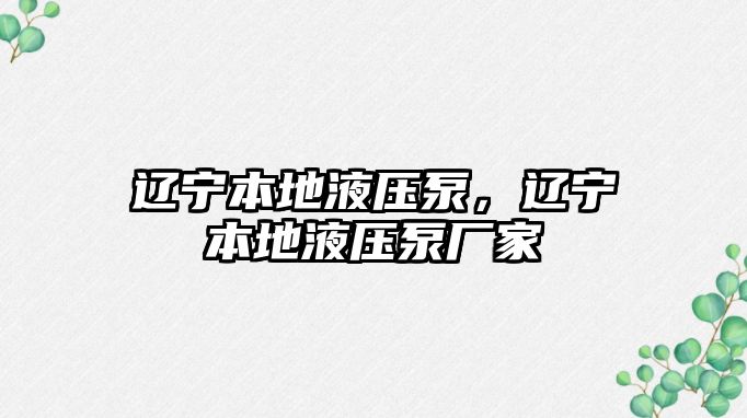 遼寧本地液壓泵，遼寧本地液壓泵廠家