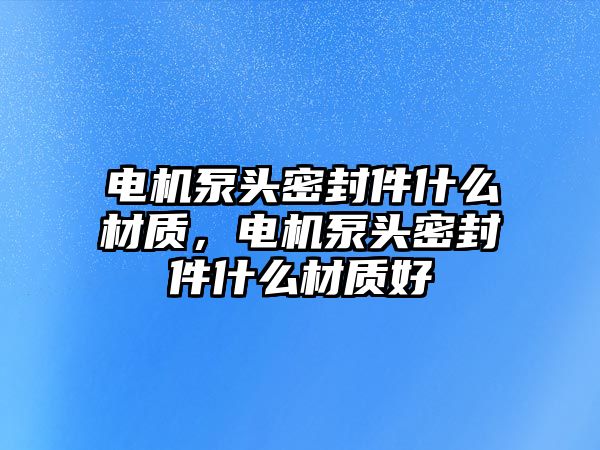 電機(jī)泵頭密封件什么材質(zhì)，電機(jī)泵頭密封件什么材質(zhì)好