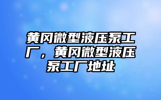 黃岡微型液壓泵工廠，黃岡微型液壓泵工廠地址