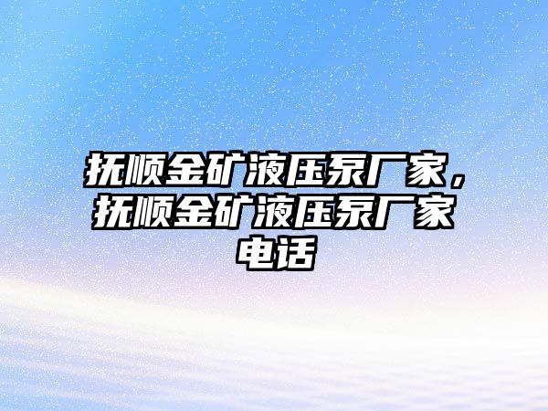 撫順金礦液壓泵廠家，撫順金礦液壓泵廠家電話