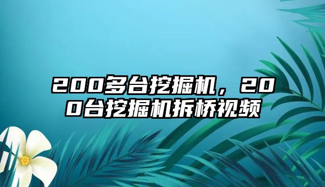 200多臺(tái)挖掘機(jī)，200臺(tái)挖掘機(jī)拆橋視頻