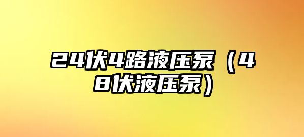 24伏4路液壓泵（48伏液壓泵）